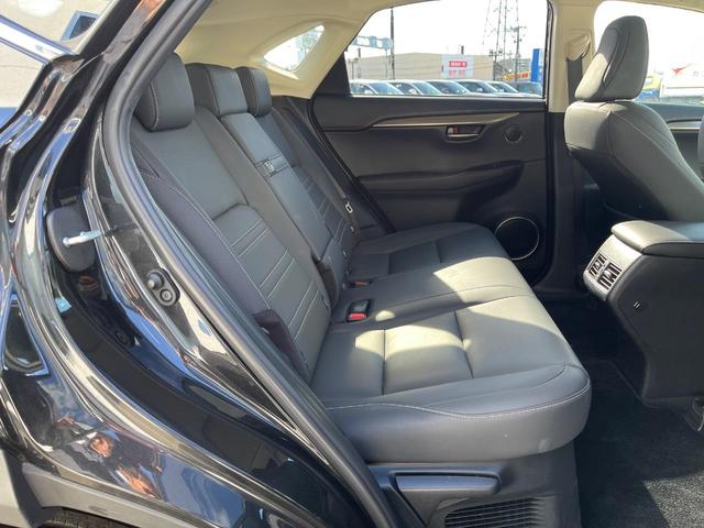 NX NX300 Iパッケージ サンルーフ 衝突軽減装置 純正10.3型ナビ 黒革シート レーダークルーズ サイド・バックカメラ ETC Bluetooth フルセグ シートヒーター パワーバックドア メモリー機能付きパワーシート(9枚目)