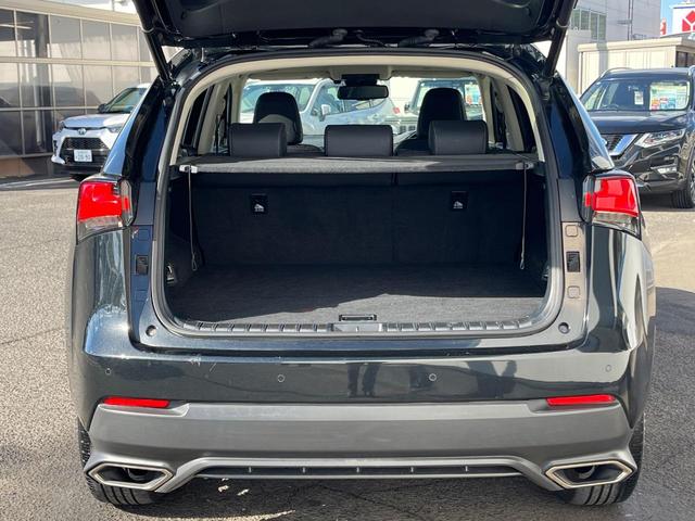 NX NX300 Iパッケージ サンルーフ 衝突軽減装置 純正10.3型ナビ 黒革シート レーダークルーズ サイド・バックカメラ ETC Bluetooth フルセグ シートヒーター パワーバックドア メモリー機能付きパワーシート(10枚目)