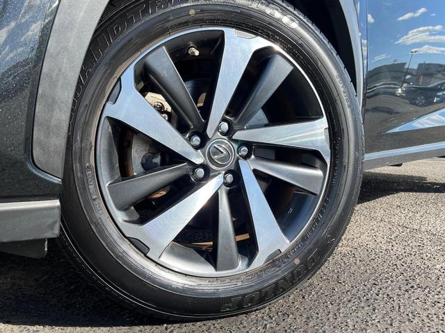 NX NX300 Iパッケージ サンルーフ 衝突軽減装置 純正10.3型ナビ 黒革シート レーダークルーズ サイド・バックカメラ ETC Bluetooth フルセグ シートヒーター パワーバックドア メモリー機能付きパワーシート(13枚目)