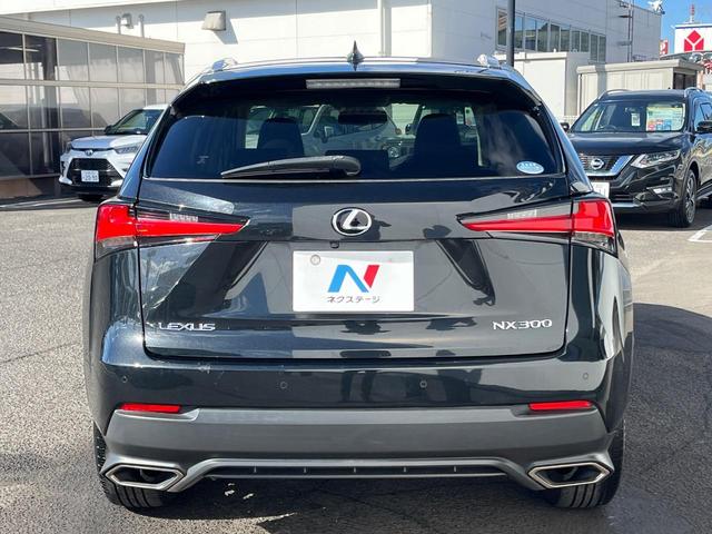 NX NX300 Iパッケージ サンルーフ 衝突軽減装置 純正10.3型ナビ 黒革シート レーダークルーズ サイド・バックカメラ ETC Bluetooth フルセグ シートヒーター パワーバックドア メモリー機能付きパワーシート(15枚目)