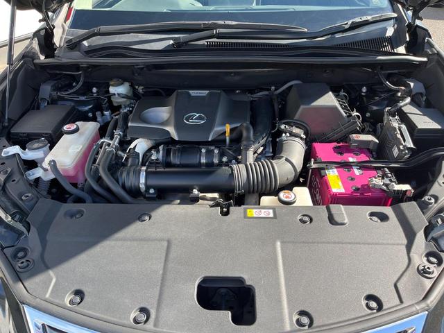 NX NX300 Iパッケージ サンルーフ 衝突軽減装置 純正10.3型ナビ 黒革シート レーダークルーズ サイド・バックカメラ ETC Bluetooth フルセグ シートヒーター パワーバックドア メモリー機能付きパワーシート(18枚目)