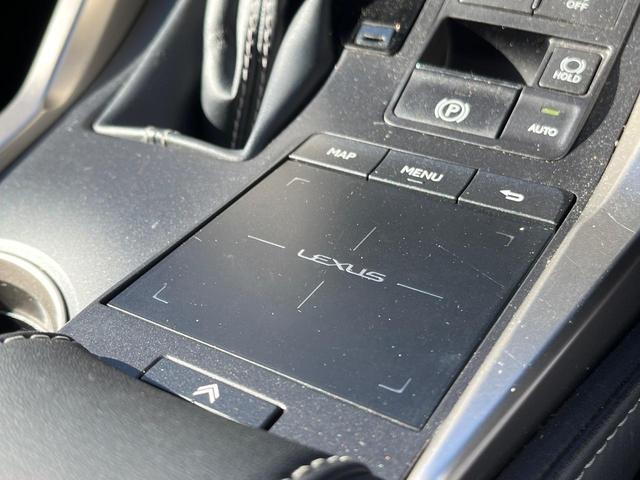 NX NX300 Iパッケージ サンルーフ 衝突軽減装置 純正10.3型ナビ 黒革シート レーダークルーズ サイド・バックカメラ ETC Bluetooth フルセグ シートヒーター パワーバックドア メモリー機能付きパワーシート(27枚目)