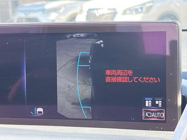 NX NX300 Iパッケージ サンルーフ 衝突軽減装置 純正10.3型ナビ 黒革シート レーダークルーズ サイド・バックカメラ ETC Bluetooth フルセグ シートヒーター パワーバックドア メモリー機能付きパワーシート(32枚目)