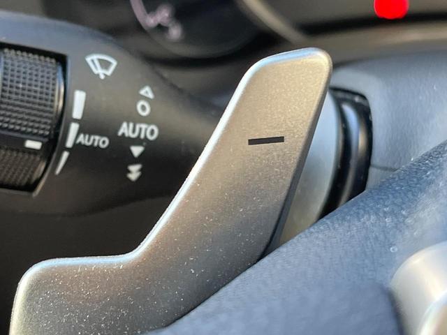 NX NX300 Iパッケージ サンルーフ 衝突軽減装置 純正10.3型ナビ 黒革シート レーダークルーズ サイド・バックカメラ ETC Bluetooth フルセグ シートヒーター パワーバックドア メモリー機能付きパワーシート(34枚目)