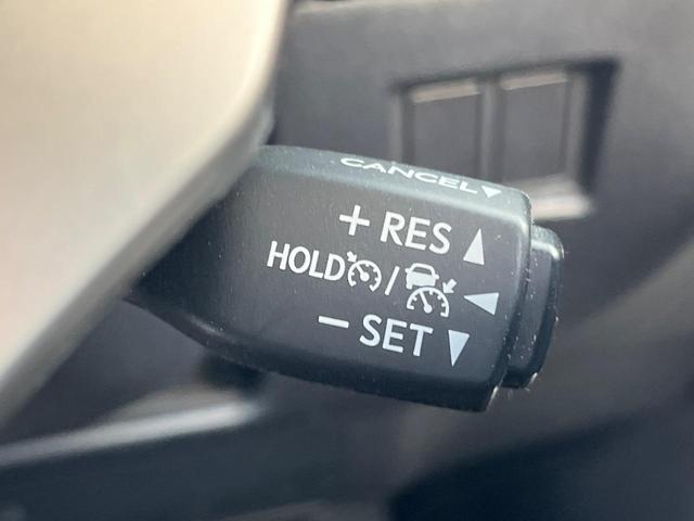 NX NX300 Iパッケージ サンルーフ 衝突軽減装置 純正10.3型ナビ 黒革シート レーダークルーズ サイド・バックカメラ ETC Bluetooth フルセグ シートヒーター パワーバックドア メモリー機能付きパワーシート(38枚目)