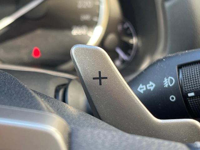 NX NX300 Iパッケージ サンルーフ 衝突軽減装置 純正10.3型ナビ 黒革シート レーダークルーズ サイド・バックカメラ ETC Bluetooth フルセグ シートヒーター パワーバックドア メモリー機能付きパワーシート(39枚目)