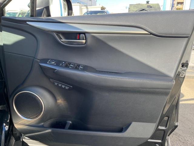 NX NX300 Iパッケージ サンルーフ 衝突軽減装置 純正10.3型ナビ 黒革シート レーダークルーズ サイド・バックカメラ ETC Bluetooth フルセグ シートヒーター パワーバックドア メモリー機能付きパワーシート(46枚目)