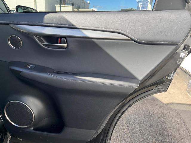 NX NX300 Iパッケージ サンルーフ 衝突軽減装置 純正10.3型ナビ 黒革シート レーダークルーズ サイド・バックカメラ ETC Bluetooth フルセグ シートヒーター パワーバックドア メモリー機能付きパワーシート(48枚目)