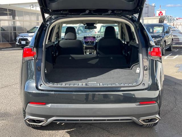 NX NX300 Iパッケージ サンルーフ 衝突軽減装置 純正10.3型ナビ 黒革シート レーダークルーズ サイド・バックカメラ ETC Bluetooth フルセグ シートヒーター パワーバックドア メモリー機能付きパワーシート(49枚目)