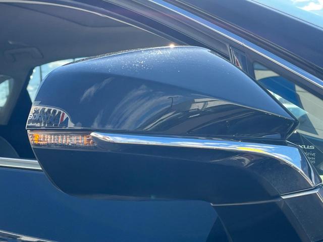 NX NX300 Iパッケージ サンルーフ 衝突軽減装置 純正10.3型ナビ 黒革シート レーダークルーズ サイド・バックカメラ ETC Bluetooth フルセグ シートヒーター パワーバックドア メモリー機能付きパワーシート(51枚目)