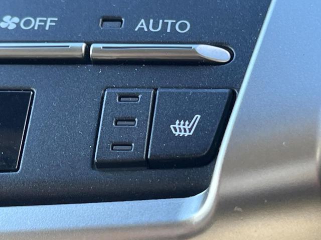 NX NX300 Iパッケージ サンルーフ 衝突軽減装置 純正10.3型ナビ 黒革シート レーダークルーズ サイド・バックカメラ ETC Bluetooth フルセグ シートヒーター パワーバックドア メモリー機能付きパワーシート(58枚目)