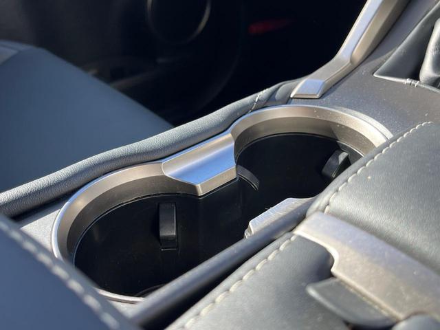 NX NX300 Iパッケージ サンルーフ 衝突軽減装置 純正10.3型ナビ 黒革シート レーダークルーズ サイド・バックカメラ ETC Bluetooth フルセグ シートヒーター パワーバックドア メモリー機能付きパワーシート(69枚目)