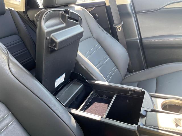 NX NX300 Iパッケージ サンルーフ 衝突軽減装置 純正10.3型ナビ 黒革シート レーダークルーズ サイド・バックカメラ ETC Bluetooth フルセグ シートヒーター パワーバックドア メモリー機能付きパワーシート(71枚目)