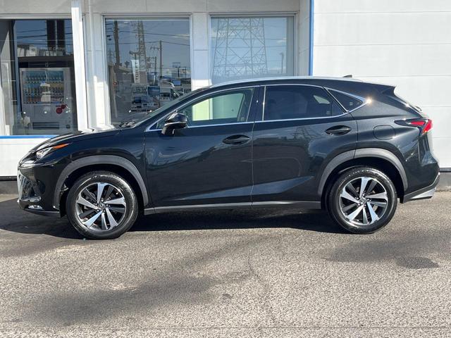 NX NX300 Iパッケージ サンルーフ 衝突軽減装置 純正10.3型ナビ 黒革シート レーダークルーズ サイド・バックカメラ ETC Bluetooth フルセグ シートヒーター パワーバックドア メモリー機能付きパワーシート(75枚目)