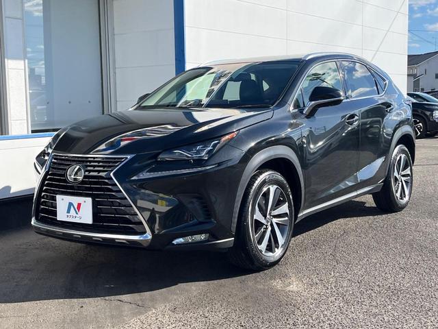 NX NX300 Iパッケージ サンルーフ 衝突軽減装置 純正10.3型ナビ 黒革シート レーダークルーズ サイド・バックカメラ ETC Bluetooth フルセグ シートヒーター パワーバックドア メモリー機能付きパワーシート(77枚目)