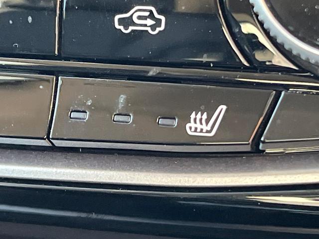 フォレスター アドバンス 4WD 衝突被害軽減システム 禁煙車 レーダークルーズ 純正8型ナビ フロント・サイド・バックカメラ 電動リアゲート レザーシート 全席シートヒーター ドラレコ コーナーセンサー LEDヘッド(39枚目)