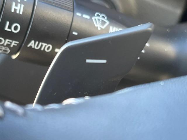 フォレスター アドバンス　４ＷＤ　衝突被害軽減システム　禁煙車　レーダークルーズ　寒冷地仕様　フロント・サイド・バックカメラ　ＥＴＣ　ドラレコ　全席シートヒーター　ハーフレザーシート　コーナーセンサー　スマートキー（66枚目）