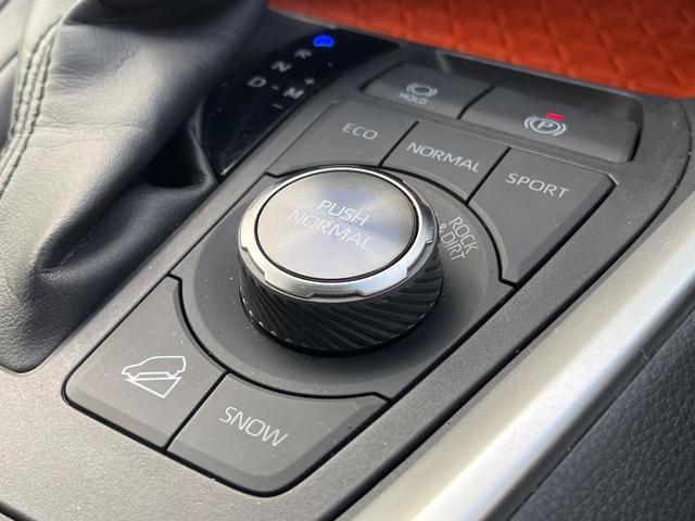 RAV4 アドベンチャー 4WD 衝突軽減装置 禁煙車 純正10.5型ディスプレーオーディオ 合皮シート レーダークルーズ バックカメラ ETC Bluetooth フルセグ ドラレコ 前席シートベンチレーション レーンキープ(45枚目)