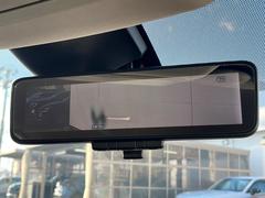 �ڥ���ƥꥸ����ȥ롼��ߥ顼�۸��ʤ��礭�ʲ�ʪ��Ʊ��ԤǸ�������ǧ���Ť餤���Ǥ�¿�������餬���Ƥ�����ξ�����α�����롼��ߥ顼���ɽ�������ꥢ�ʻ볦�Ǿ����γ�ǧ����ǽ�Ǥ��� 7