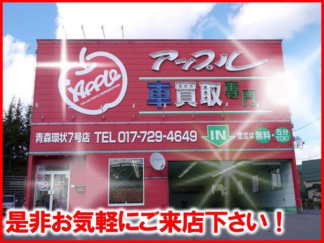 ドルチェX FOUR 4WD ナビTV Bカメラ 専用シート(60枚目)