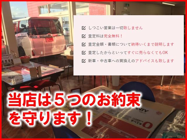 G クエロ 4WD 寒冷地仕様 マルチビュー(45枚目)