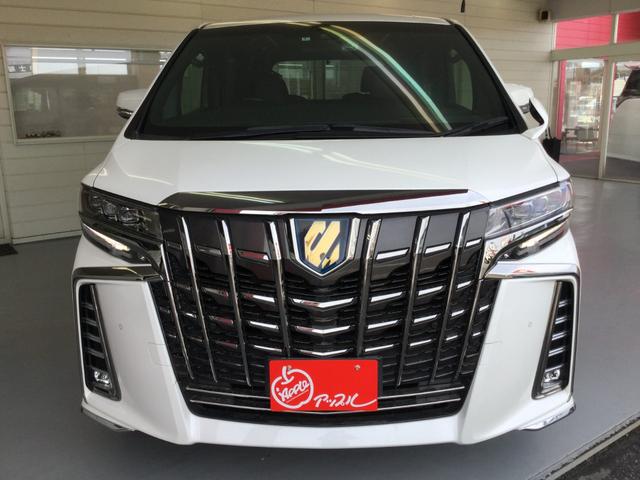S タイプゴールド 4WD ハイブリッド バックカメラ ナビ TV 両側電動スライドドア クリアランスソナー オートクルーズコントロール レーンアシスト 衝突被害軽減システム オートマチックハイビーム オートライト(14枚目)