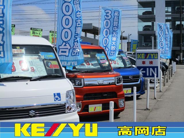Lパッケージ 衝突被害軽減 フルセグメモリーナビ クルコン(47枚目)