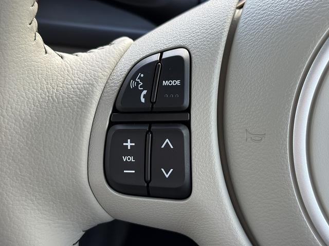 アルトラパンLC L 届け出済み未使用車 レーンアシスト コーナーセンサー バックアイカメラ付きディスプレイオーディオ【USB Bluetooth】 ハーフレザーシート&シートヒーター 衝突被害軽減装置 横滑り防止装置 ステアリングリモコン アイドリングストップ 保証書(36枚目)