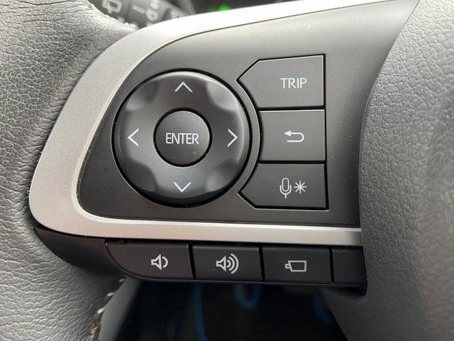 ロッキー プレミアムＧ　ＨＥＶ　禁煙車　衝突被害軽減装置　横滑り防止　レーンアシスト　コーナーセンサー　レーダークルーズコントロール　ステアリングリモコン　シートヒーター＆ハーフレザーシート　ＬＥＤヘッドライト＆フォグランプ＆オートハイビーム　純正アルミホイール（28枚目）