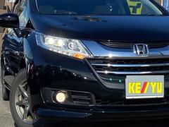 Źζرå̾ˤʤɤ⥿ХϵۤäƤޤ󡪡˳ǧƤޤŤ˥åФƤλˤʤޤΤǤ¿ 6