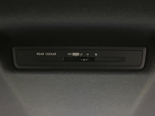 ヴォクシー ハイブリッドＳ－Ｇ　純正１０．５型ディスプレイオーディオプラス　ナビ／フルセグＤＶＤ　バックカメラ　両側電動ドア　セーフティセンス　レーダークルーズ　ＬＥＤヘッド　スマートキー　オートエアコン　革巻きステアリング　禁煙車（41枚目）
