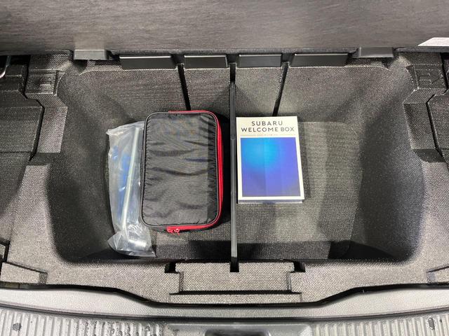 レヴォーグ １．６ＧＴアイサイト　スマートエディション　後期　４ＷＤ　純正８型ナビ　フロント／サイド／バックカメラ　アイサイトＶｅｒ３　セーフティプラス　ブラインドスポットモニター　ツーリングアシスト　ＬＥＤヘッド　パワーシート　シートヒーター　ドラレコ（48枚目）