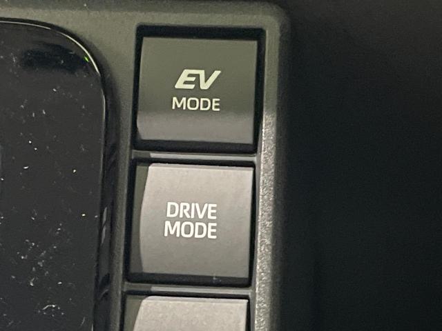 シエンタ ハイブリッドZ 純正10.5型ディスプレイオーティオプラス 全周囲カメラ フルセグ ファンツールパッケージ セーフティセンス レーダークルーズ ブラインドスポットモニター ハンズフリー両側電動ドア LEDヘッド(30枚目)