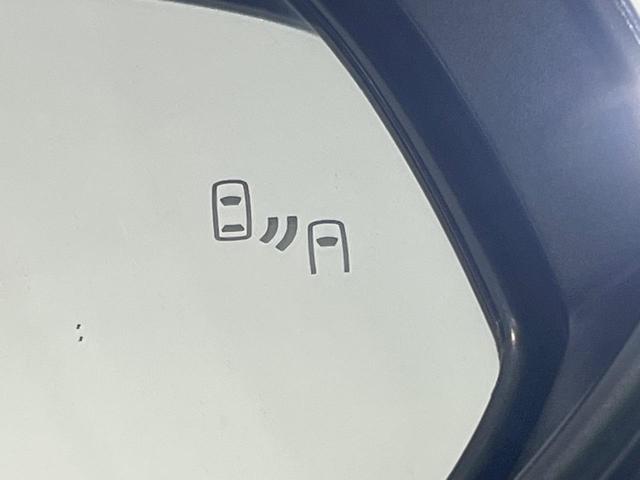 アルファード ２．５Ｓ　Ｃパッケージ　後期　ツインムーンルーフ　純正９型ＤＡ　後席モニター　デジタルインナーミラー　ブラインドスポットモニター　三眼ＬＥＤ　シーケンシャルターン　パワーバックドア　両側電動ドア　ドラレコ　ＥＴＣ　合皮シート（60枚目）