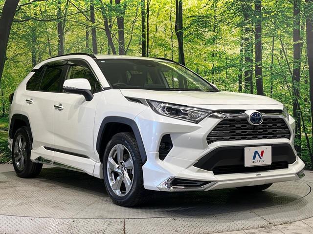 ＲＡＶ４ ハイブリッドＧ　４ＷＤ　モデリスタエアロ　純正９型ＤＡ　全周囲カメラ　デジタルインナーミラー　ハンズフリーパワーバックドア　セーフティセンス　レーダークルーズ　ブラインドスポット　パワーシート　シートヒーター　禁煙車（16枚目）