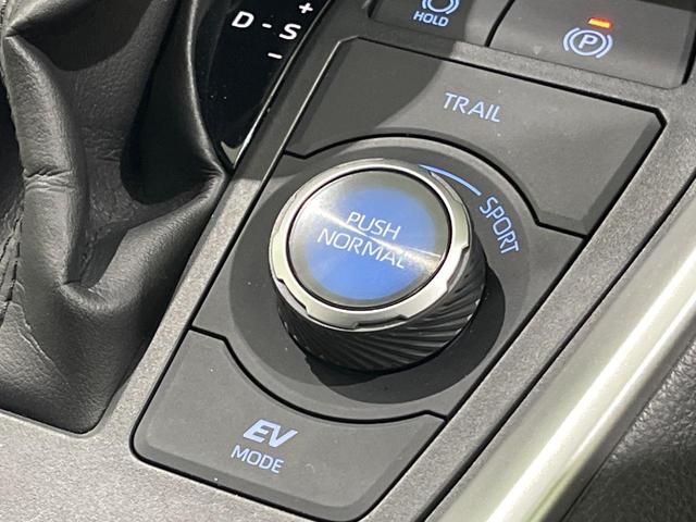 ＲＡＶ４ ハイブリッドＧ　４ＷＤ　モデリスタエアロ　純正９型ＤＡ　全周囲カメラ　デジタルインナーミラー　ハンズフリーパワーバックドア　セーフティセンス　レーダークルーズ　ブラインドスポット　パワーシート　シートヒーター　禁煙車（33枚目）