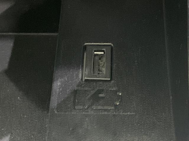 セレナ ハイウェイスターＶ　後期　セーフティパックＡ　純正１０型ナビ　後席モニター　全周囲カメラ　プロパイロット　デジタルインナーミラー　ブラインドスポットモニター　ハンズフリー両側電動スライド　ＬＥＤヘッドライト　オートライト（30枚目）