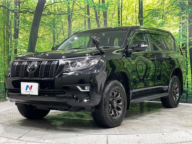 ランドクルーザープラド ＴＸ　後期　ディーゼル　７人乗　純正ナビ　バックカメラ　セーフティセンス　レーダークルーズ　ＬＥＤヘッド　オートライト　スマートキー　ＥＴＣ　革ウッドコンビステアリング　ステアリングスイッチ　オートエアコン（48枚目）