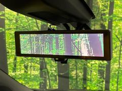 �ڥ���ƥꥸ����ȥ롼��ߥ顼�۸��ʤ��礭�ʲ�ʪ��Ʊ��ԤǸ�������ǧ���Ť餤���Ǥ�¿�������餬���Ƥ�����ξ�����α�����롼��ߥ顼���ɽ�������ꥢ�ʻ볦�Ǿ����γ�ǧ����ǽ�Ǥ��� 7