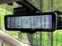 �ڥ���ƥꥸ����ȥ롼��ߥ顼�۸��ʤ��礭�ʲ�ʪ��Ʊ��ԤǸ�������ǧ���Ť餤���Ǥ�¿�������餬���Ƥ�����ξ�����α�����롼��ߥ顼���ɽ�������ꥢ�ʻ볦�Ǿ����γ�ǧ����ǽ�Ǥ��� 7