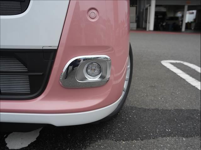 ムーヴキャンバス ストライプスＧ　届出済未使用車（6枚目）