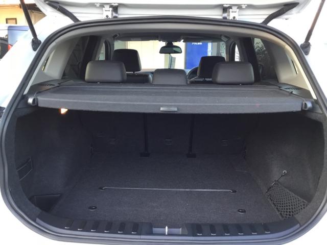 Ｘ１ ｓＤｒｉｖｅ　１８ｉ（29枚目）