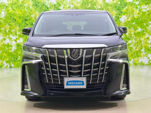 アルファード S Cパッケージ 新品タイヤ/サンルーフ/保証書/純正 10インチ SDナビ/フリップダウンモニター/両側電動スライドドア/シート フルレザー/電動バックドア/ヘッドランプ LED/ETC/EBD付ABS 革シート(54枚目)