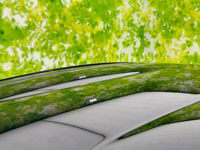 アクア Sスタイルブラック 新品タイヤ/保証書/純正 SDナビ/衝突安全装置/車線逸脱防止支援システム/ヘッドランプ LED/Bluetooth接続/ETC/EBD付ABS/横滑り防止装置/アイドリングストップ/フルセグTV(49枚目)