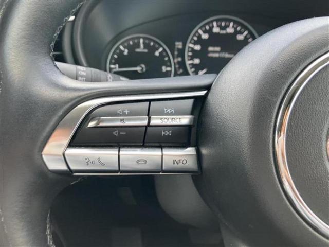 ＣＸ－３０ ４ＷＤ　ＸＤプロアクティブツーリングセレクション　保証書／純正　ＳＤナビ／衝突安全装置／シートヒーター／３６０°ビューモニター／車線逸脱防止支援システム／電動バックドア／ドライブレコーダー　純正／ヘッドランプ　ＬＥＤ／Ｂｌｕｅｔｏｏｔｈ接続　４ＷＤ（12枚目）