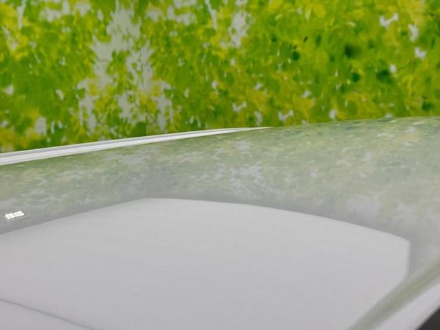 ムーヴキャンバス ４ＷＤストライプスＧターボ　保証書／純正　１０インチ　ＳＤナビ／衝突安全装置／両側電動スライドドア／シートヒーター　前席／パノラマモニター／車線逸脱防止支援システム／ドライブレコーダー　純正／ヘッドランプ　ＬＥＤ／ＥＴＣ　４ＷＤ（50枚目）