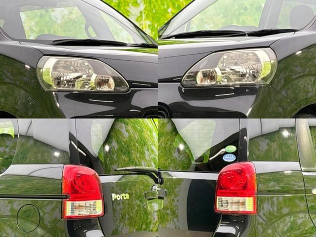 �u���̎Ԃ̎ʐ^�������ƌ������v�u��Ԃ��C�ɂȂ�v�u���̑����͂��Ă���H�v�ǂ�ȏ����ȋ^��ł����C�y�ɂ��₢���킹���������I