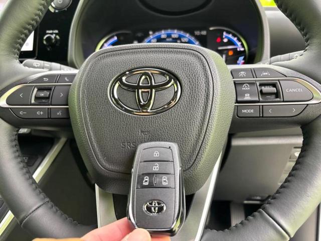 �ԑI�тɂ͂��Y�݂������̂ł��I��̓I�ȍw���܂ł͌������Ă��Ȃ����ǎԂ͋C�ɂȂ�Ƃ������q�l���劽�}�ł��I���񒆌Îԍw���̑����̂���`���������Ă��������I