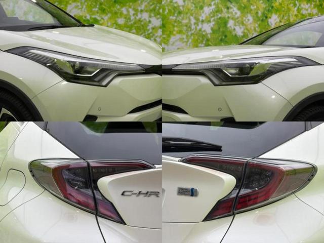 �u���̎Ԃ̎ʐ^�������ƌ������v�u��Ԃ��C�ɂȂ�v�u���̑����͂��Ă���H�v�ǂ�ȏ����ȋ^��ł����C�y�ɂ��₢���킹���������I