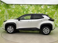 �ףţã��ңӤκ߸˥ڡ������������������ˤ��꤬�Ȥ��������ޤ����ףţã��ңӤϡ֤��������פ��åȡ��ˤ����ͤΥ����饤�դ����Ϥǥ��ݡ��Ȥ������ޤ��� 2